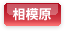 相模原