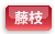 藤枝